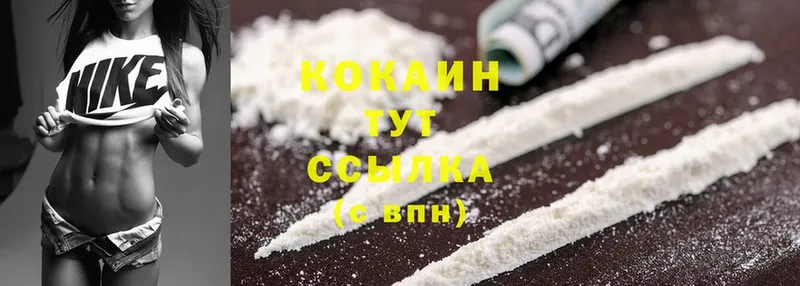 Cocaine Эквадор  где купить наркоту  сайты даркнета Telegram  Елизово 