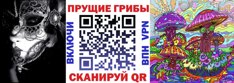 МЕГА   Елизово  Галлюциногенные грибы мухоморы 