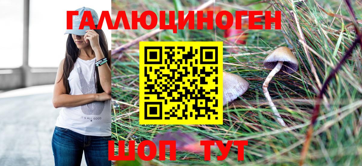 Псилоцибиновые грибы Psilocybine cubensis  Елизово 