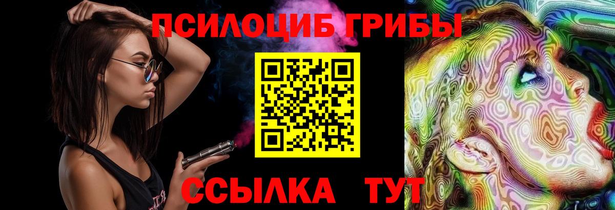Псилоцибиновые грибы MAGIC MUSHROOMS  Вход с VPN  где можно купить наркотик  Елизово 