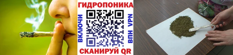 магазин    Елизово  Бошки марихуана ГИДРОПОН 